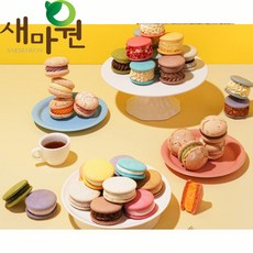 새마원 냉동 수제 마카롱 뚱카롱 10종세트 (초코 딸기 쿠앤크 카라멜), 40g, 40개, 뚱카롱 혼합