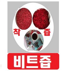 고랭지비트