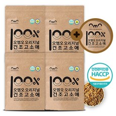 (오엠오) HACCP인증 국내산 건조 고소애 100%, 40g, 5개