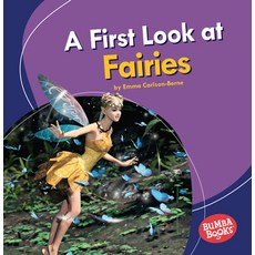 A First Look at Fairies Paperback, Lerner Publications (Tm)