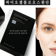 엑소덤마스크팩
