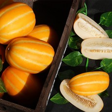 고당도 성주 꿀참외 가정용 랜덤과, 1개, 가정용 로얄과 3KG 내외(8-15과 내외)