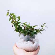 14ad0497f2b5c52e34a3db06cf022834980958b76dd9b003c0c554dc20e4.jpg