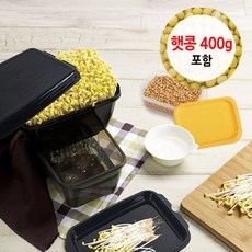 콩나물키트추천