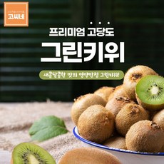 교육학키위주스