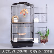 동물번식학