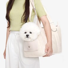 엘르독