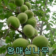 9b4980322c0d565545978dc95852a04a6fc0435f36f5928a298610c0bc0d.jpg