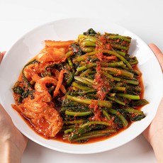 국내산 전라도 당일김장 열무김치 2kg 맛있는 시원한 맛 식감좋은 해풍 열무김치