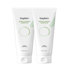 비플레인녹두모공