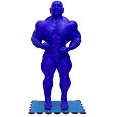 아미쿠스 실리콘 캐릭터 모래주머니 산 때리다 샌드백 인간형 트레이닝 무술, 블루 전인 실리콘 재질