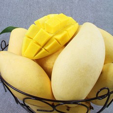 과일의 황제 태국망고 특대과 10-12과사이즈, 1박스, 10-12입 5kg