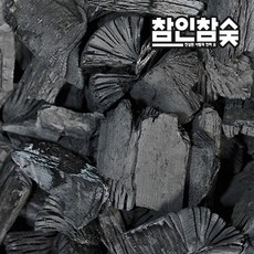 비장참숯
