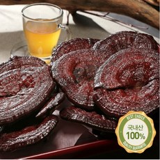 상황버섯재배기술누구나습득할수있다