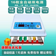 미니메추리종란