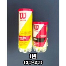 윌슨챔피언쉽