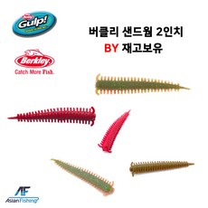 갈치샌드웜