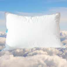 c0fd353fb9961c5766d67469a85a1f58363f266ef7bd848ffd752cd5271d.png