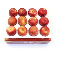 당도선별 빨간사과 3kg 소과 16~21과, 1개, 상세페이지 참조, 상세페이지 참조