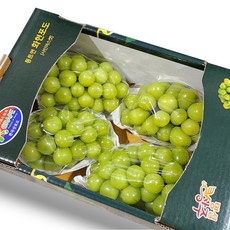 프리미엄 샤인머스켓 고당도 망고포도 선물세트, 샤인머스켓 2kg (4-5수), 1개