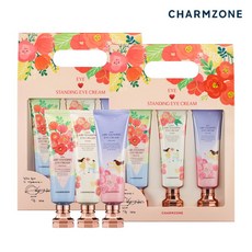 참존메가스탠딩아이크림