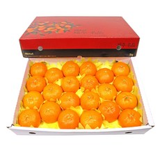 농장직송 고당도 레드향 3kg 5kg 10kg, 1박스, 레드향 5kg 특대(19~23과)