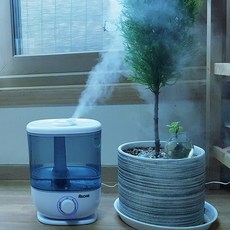 아기초음파영상