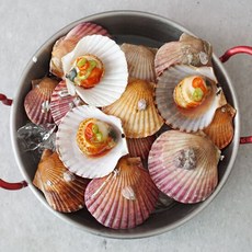 [당일조업] 더싱싱 살 꽉찬 홍가리비 2kg, 1개