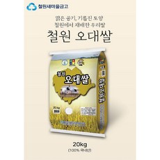 [2023년산] 철원오대쌀 20kg, 1개