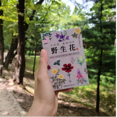 야생화타로카드