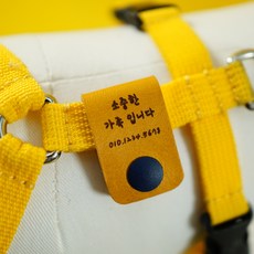 티니네인식표