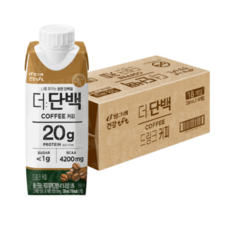 더단백카라멜