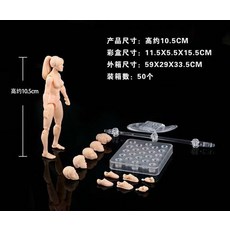 성인모형 3.75 인치 남성 여성의 몸 모델 피부 회색 모델 그림 도구 관절 손으로, 피부 여성