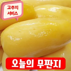 건영푸드 무짠지 국내산 1kg 오독오독 칼칼한 밥도둑 짠지무침 누구나 좋아하는 이 맛 으로 사랑 받는 식품 무짠지 1kg내외