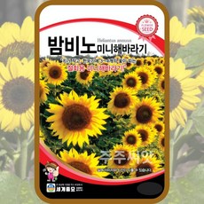 79a7784a2cb73b1ac8194d9c8512f4a5b00468f28d2d751fd97606ff9d20.jpg