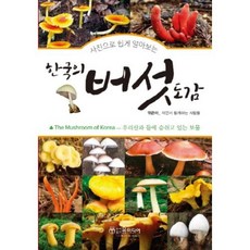 서하윤작가