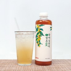 악마의열매실제