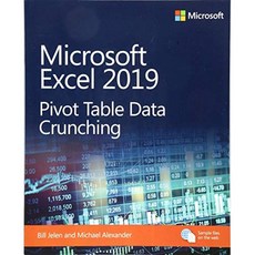 Microsoft Excel 2019 피벗 테이블 데이터 크 런칭 (비즈니스 기술), 단일옵션