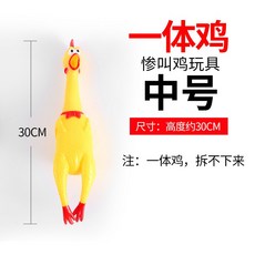 두다피트니스