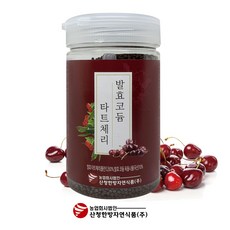 산청한방자연식품 발효코듐 타트체리환 350g 1병, 1개