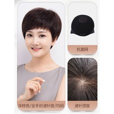 중년남자전체가발인모