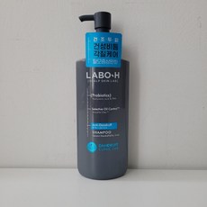 라보에이치 댄드러프 클리닉 일반 건성비듬 샴푸, 400ml, 1개