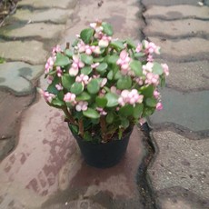 fface1df14cef3ce8b70971ce1f4b4e2d0f62a3e355b528299cbfcf158f0.jpg