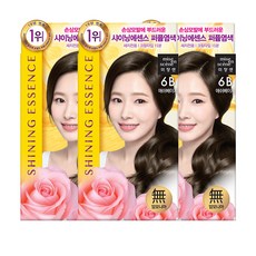 미쟝센 샤이닝 에센스 새치전용 염색제, 3개, 6B 애쉬베이지