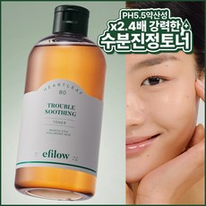 에필로우 어성초 80 시카 히알루로닉 트러블 수딩 약산성 비건 토너 300ml, 1개