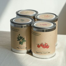 닥터조플랜트캔