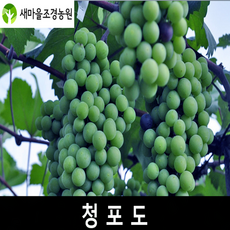 a8648acd39901c43630aab337e69835d13f6776a373b5ad06b0dbfcb9cb9.png