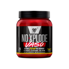 BSN 노익스플로드 노익스 부스터 VASO 프리위크아웃 파우더 48서빙 24서빙, 1개, 504g, 파인애플