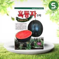 흑피수박