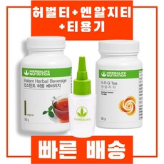 허벌라이프 인스턴트 허벌 베버리지 허브티 허벌티 + 엔알지티 + 티용기 세트